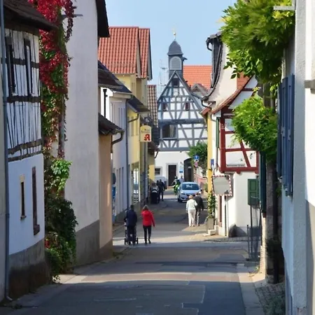 Ferienwohnung In Ad Bergstrasse Апартаменты